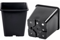 11 Liter Topf viereckig/schwarz, 24 x 24 x 27.8 cm