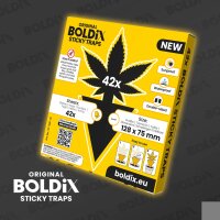 Sticky Traps Cannabis Motiv (Gelbtafel) 42 Stk